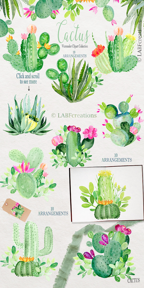 Cactus & Aloe Watercolor flowers in Illustrations - product preview 8