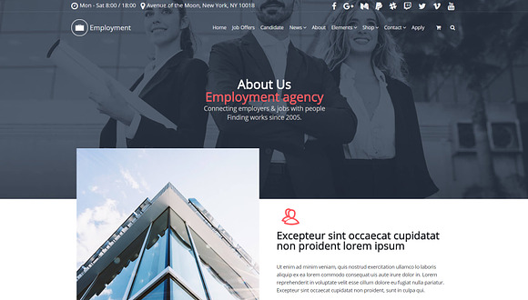 Employment WordPress Theme in WordPress Business Themes - product preview 5