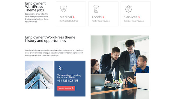 Employment WordPress Theme in WordPress Business Themes - product preview 15