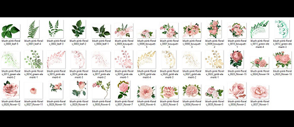 Blush Pink Wedding Floral Clipart in Illustrations - product preview 2