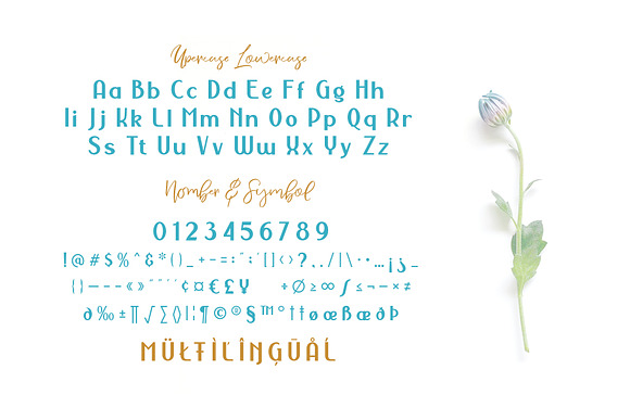 NERMOLA Scripcy Font in Script Fonts - product preview 4