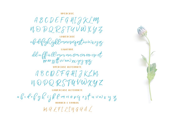 NERMOLA Scripcy Font in Script Fonts - product preview 8
