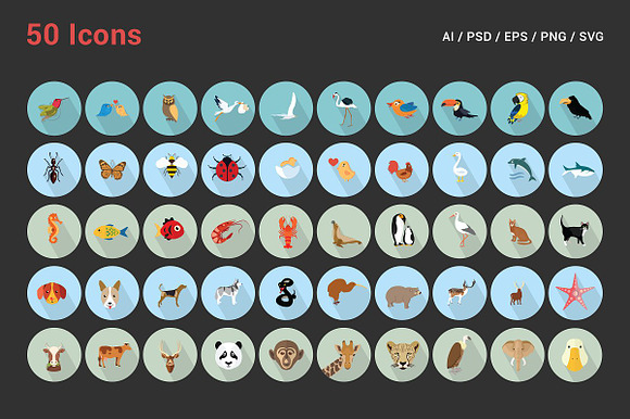 Flat Icons Animals, Birds & Insects in Icons - product preview 3