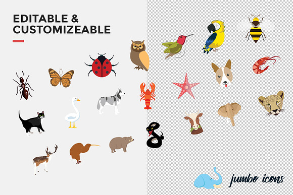 Flat Icons Animals, Birds & Insects in Icons - product preview 7
