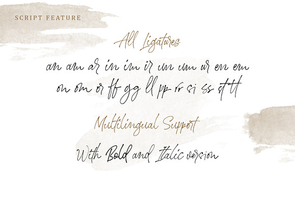 Stephen & Gillion - Signature Script in Script Fonts - product preview 5