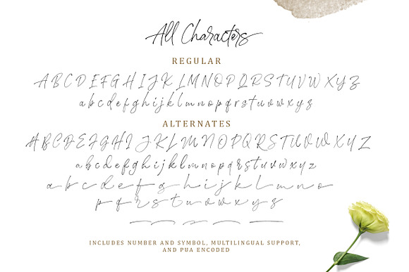 Stephen & Gillion - Signature Script in Script Fonts - product preview 9