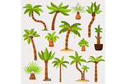 Palma vector palmaceous tropical tree with coconut or green exotic leafs and palmetto on tropic beach illustration palmy set isolated on white background
