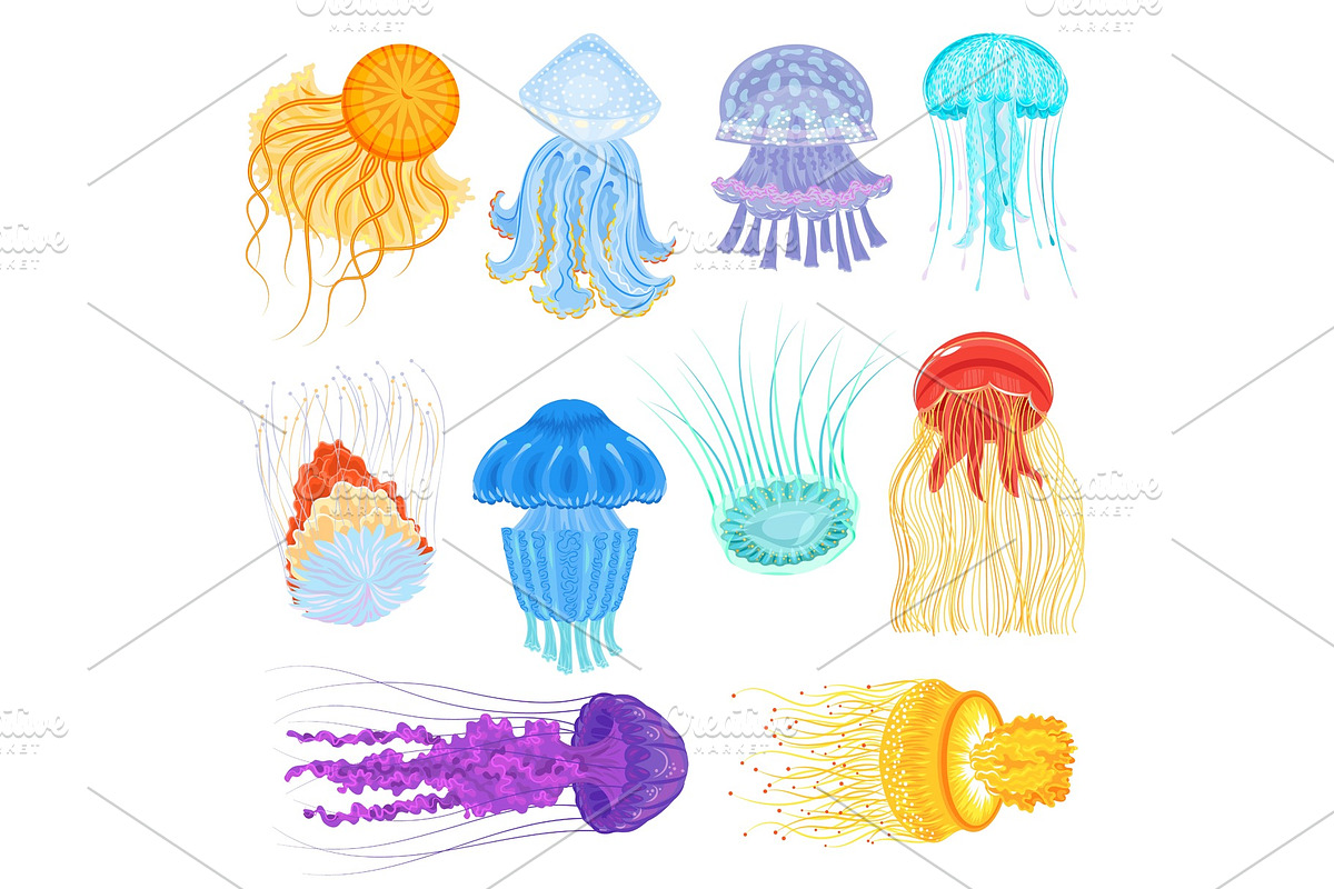 Jellyfish vector ocean jelly-fish and underwater nettle-fish illustration set of jellylike glowing medusa in sea isolated on white background in Illustrations - product preview 8