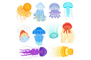 Jellyfish vector ocean jelly-fish and underwater nettle-fish illustration set of jellylike glowing medusa in sea isolated on white background