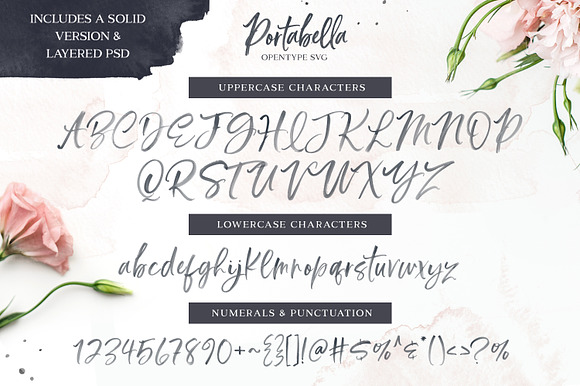 Portabella Font Collection in Script Fonts - product preview 10