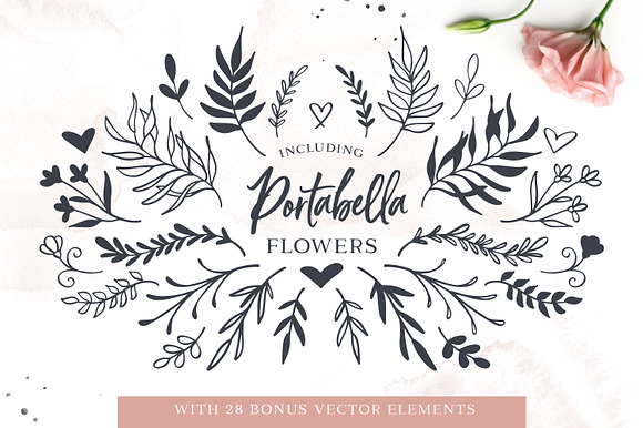 Portabella Font Collection in Script Fonts - product preview 16