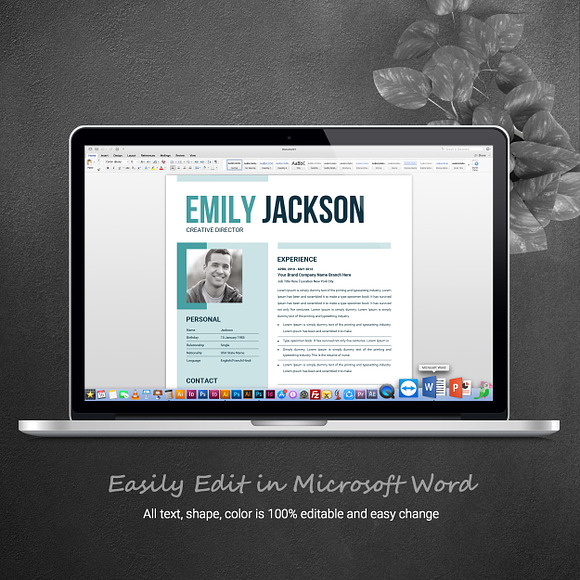 Modern Resume Template for Microsoft in Resume Templates - product preview 4