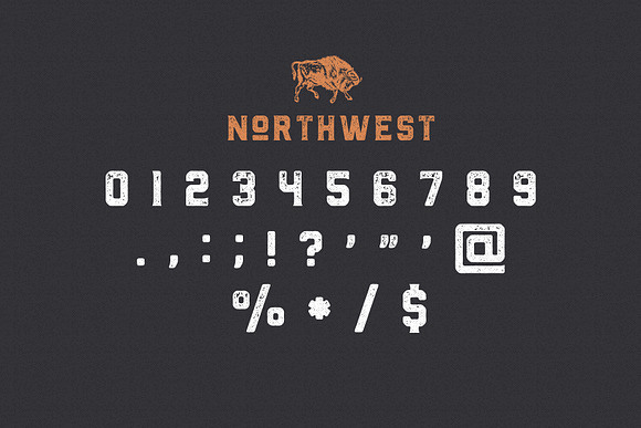 The Northwest - Vintage Type Family in Sans-Serif Fonts - product preview 6