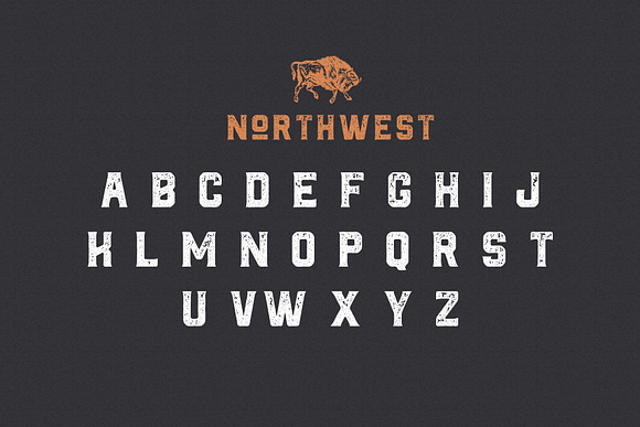 The Northwest - Vintage Type Family in Sans-Serif Fonts - product preview 7