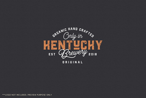 The Northwest - Vintage Type Family in Sans-Serif Fonts - product preview 9