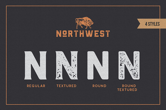 The Northwest - Vintage Type Family in Sans-Serif Fonts - product preview 10