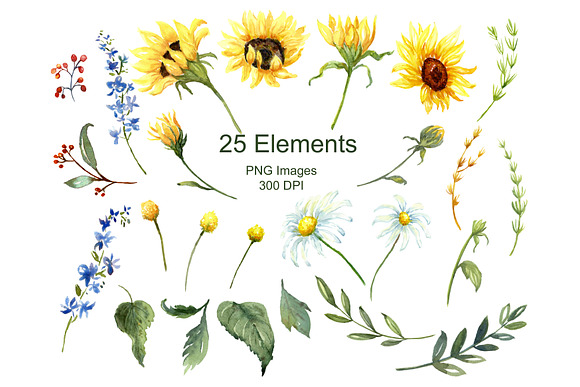 Sunflowers & Wildflowers Clip Art in Illustrations - product preview 2