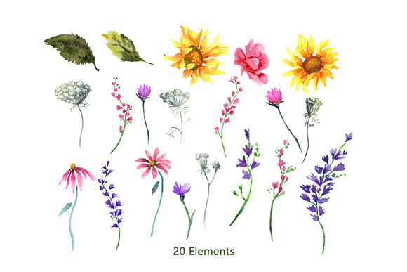 Sunflowers & Wildflowers Clip Art in Illustrations - product preview 4