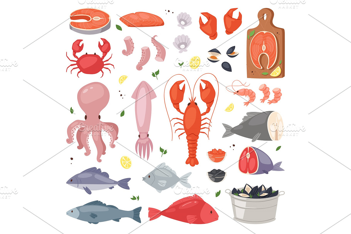 Seafood vector sea fish shellfish and lobster on fishmarket illustration fishery set of salmon prawn for ocean gourmet dinner isolated on white background in Illustrations - product preview 8