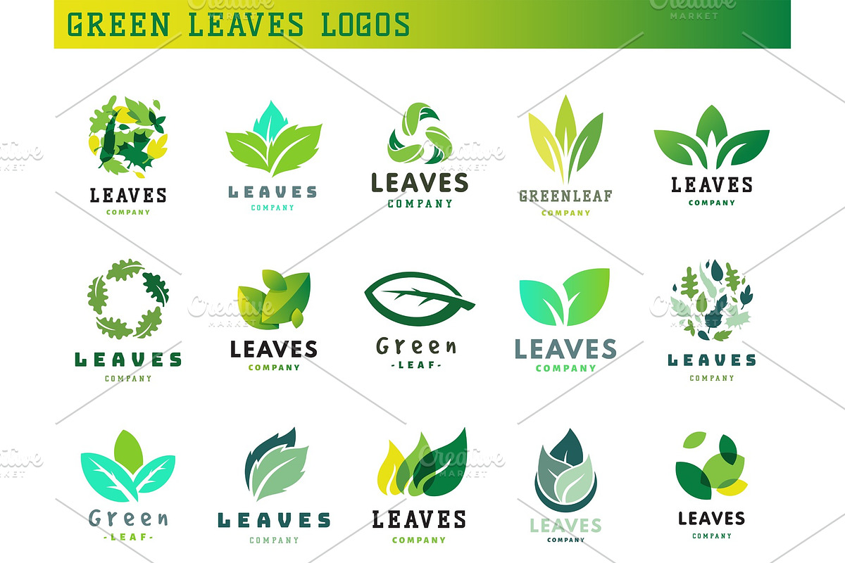 Green leaf eco design friendly nature elegance symbol and natural element ecology organic vector illustration. in Illustrations - product preview 8