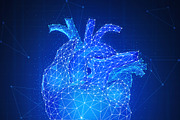 Polygon human's heart 3d on blue background.