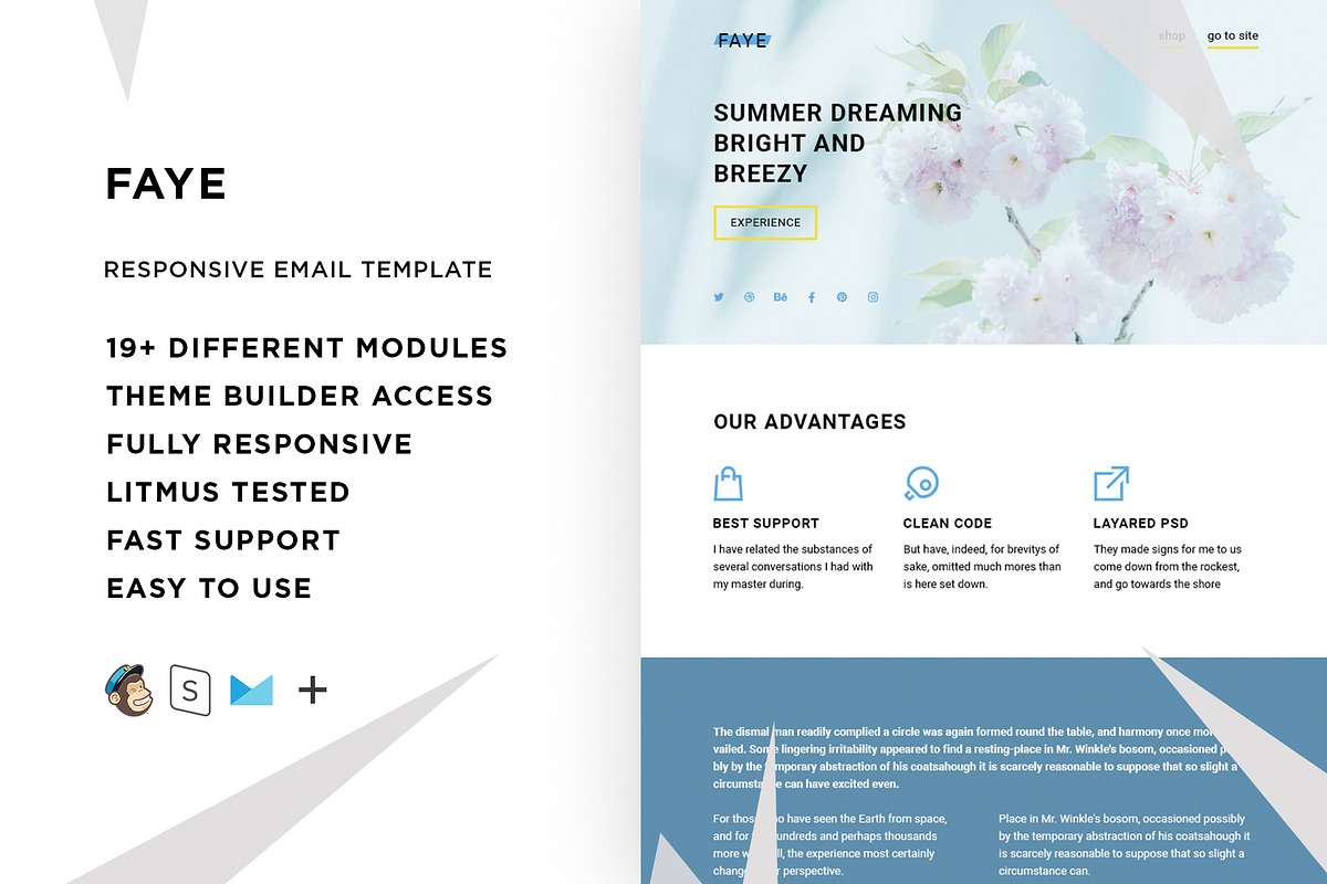 Faye – Responsive Email template in Mailchimp Templates - product preview 8