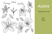 Azalea hand drawn elements set
