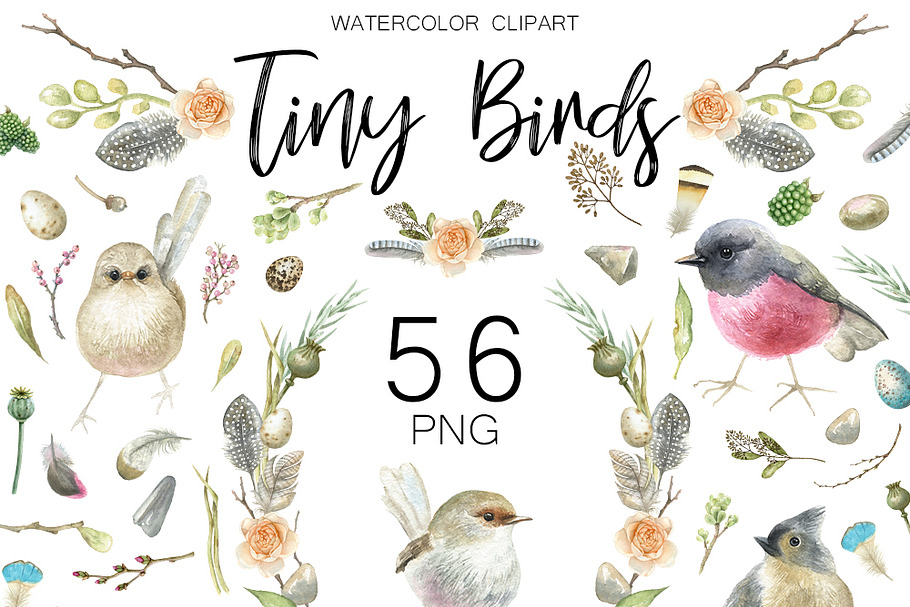 Watercolor birds clipart. in Illustrations - product preview 8