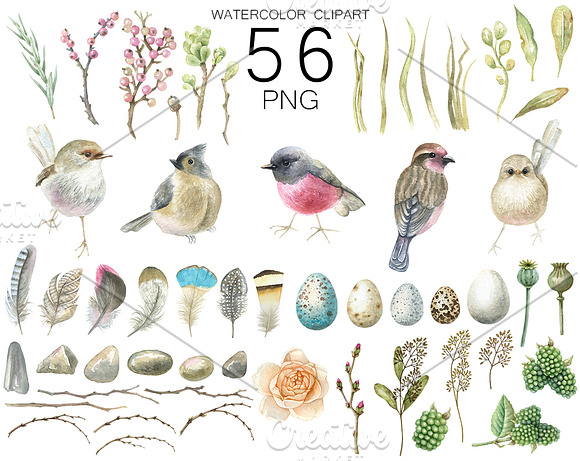 Watercolor birds clipart. in Illustrations - product preview 1