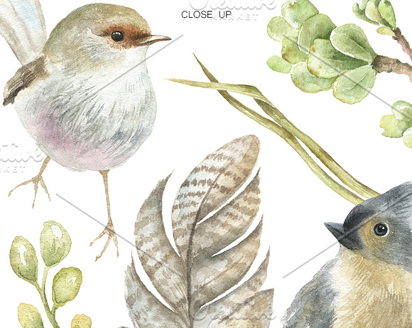 Watercolor birds clipart. in Illustrations - product preview 2