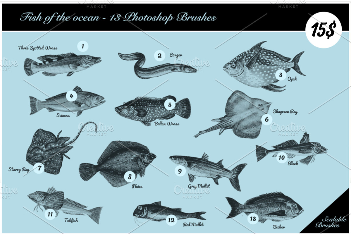 Fish of the Ocean - 13 HD PS brushes in Photoshop Brushes - product preview 8