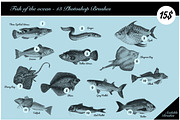 Fish of the Ocean - 13 HD PS brushes