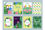Design template of cards with illustrations of exotic plants, fruits and animals