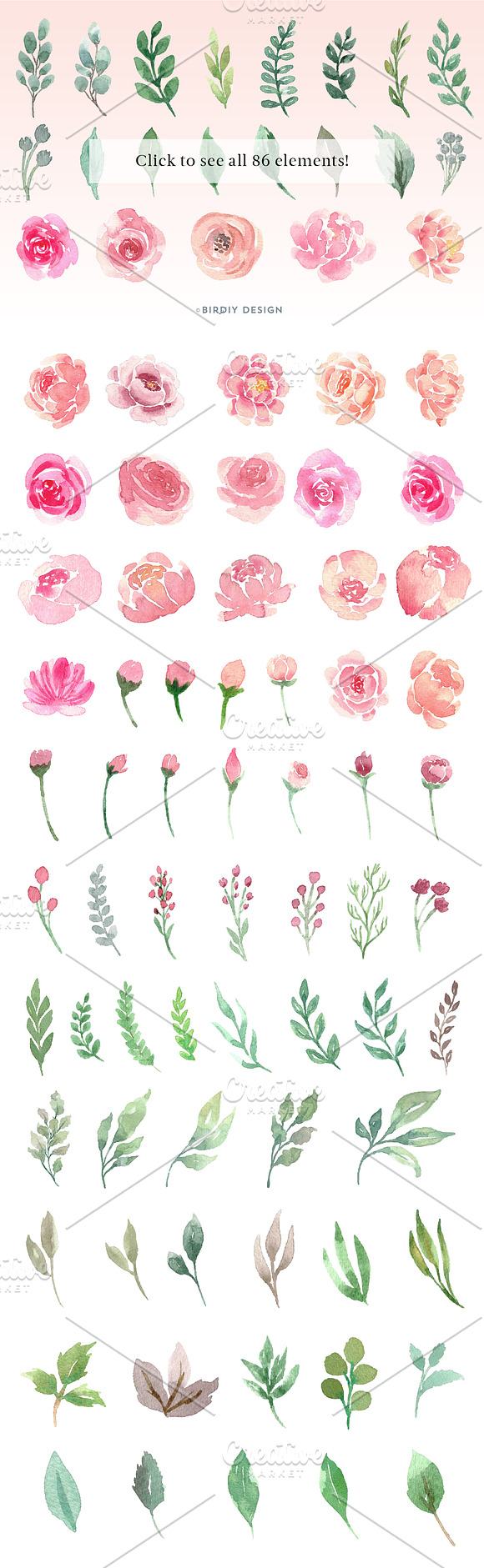 Loose Watercolor Roses & Peonies in Illustrations - product preview 9