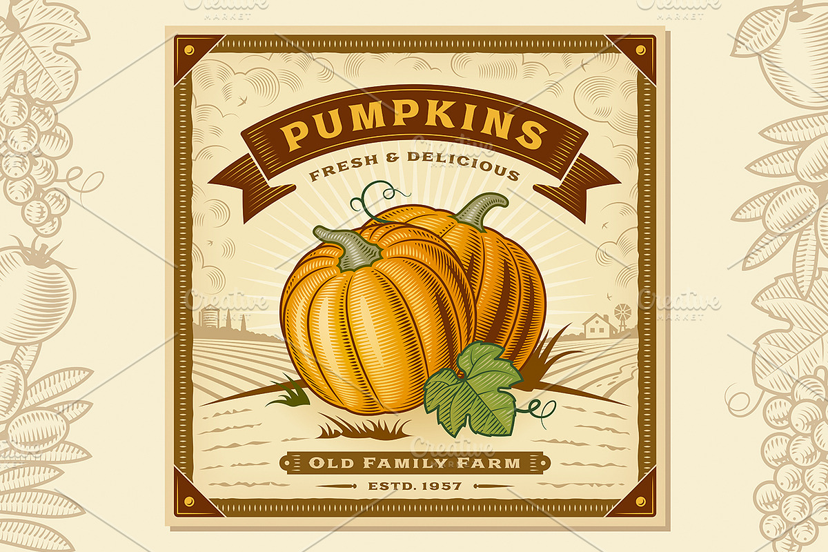 Pumpkin Harvest Label in Illustrations - product preview 8