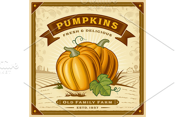 Pumpkin Harvest Label in Illustrations - product preview 1