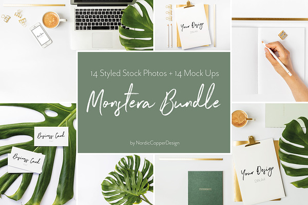 Monstera Office Styled Stock