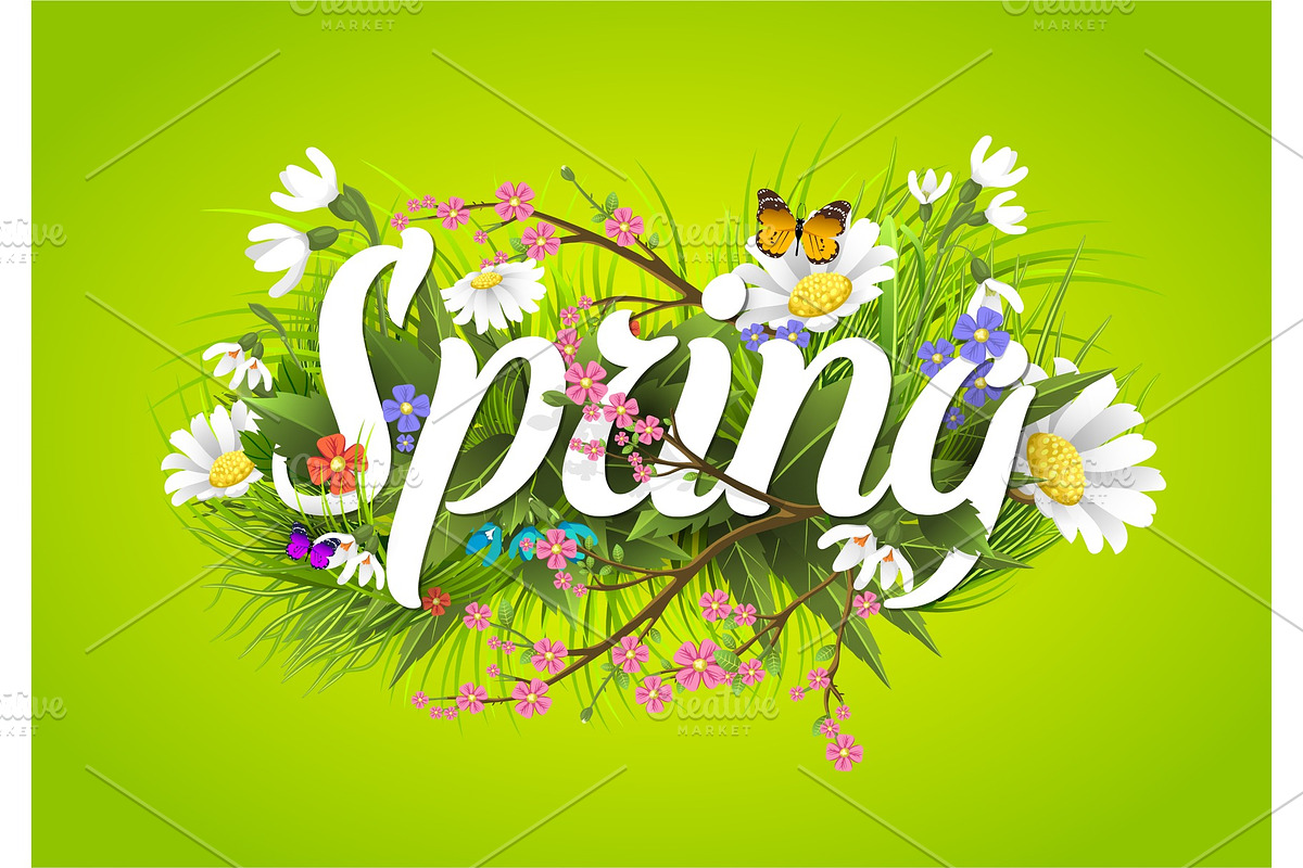 Spring vector text lettering background with flower floral green text letter ornament beautiful calligraphy flower hello Spring is coming poster illustration. in Illustrations - product preview 8