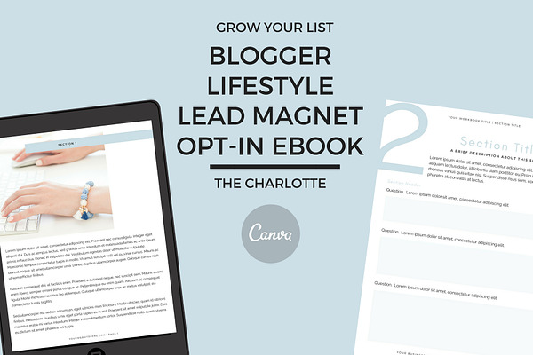 Blogger/Lifestyle Lead Magnet Opt-In
