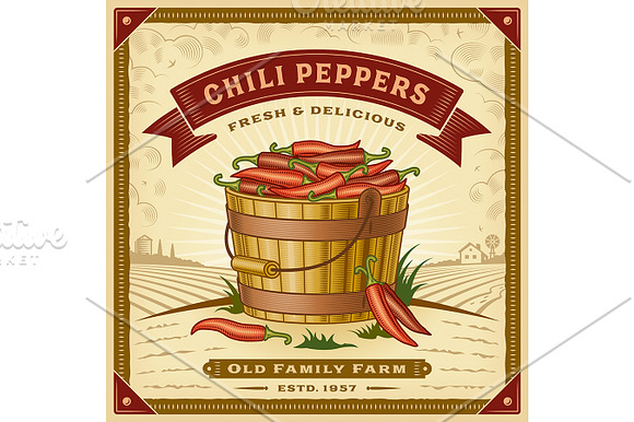 Chili Pepper Harvest Label in Illustrations - product preview 1