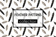 Feather patterns collection