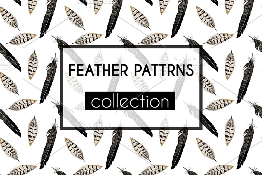 Feather patterns collection in Patterns - product preview 8