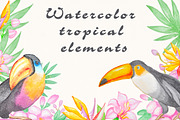 Watercolor Tropical Plants
