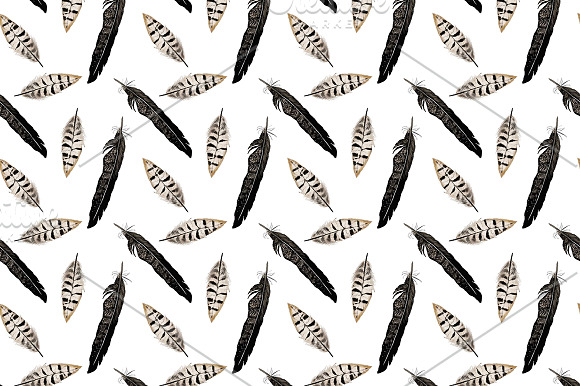 Feather patterns collection in Patterns - product preview 3