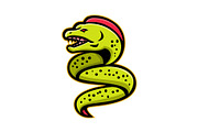 Moray Eel Sports Mascot