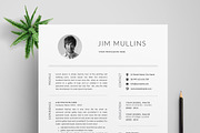 Resume/CV Template (3 Pages)