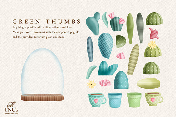 Cacti Terrarium Gardening Graphics in Illustrations - product preview 2