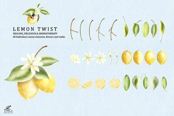 Lemon Twist - Graphics & Patterns in Illustrations - product preview 2