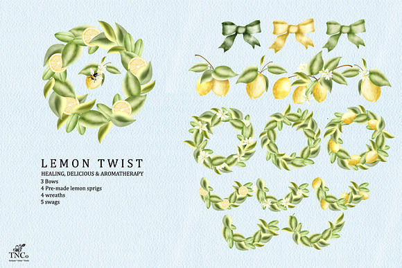 Lemon Twist - Graphics & Patterns in Illustrations - product preview 4