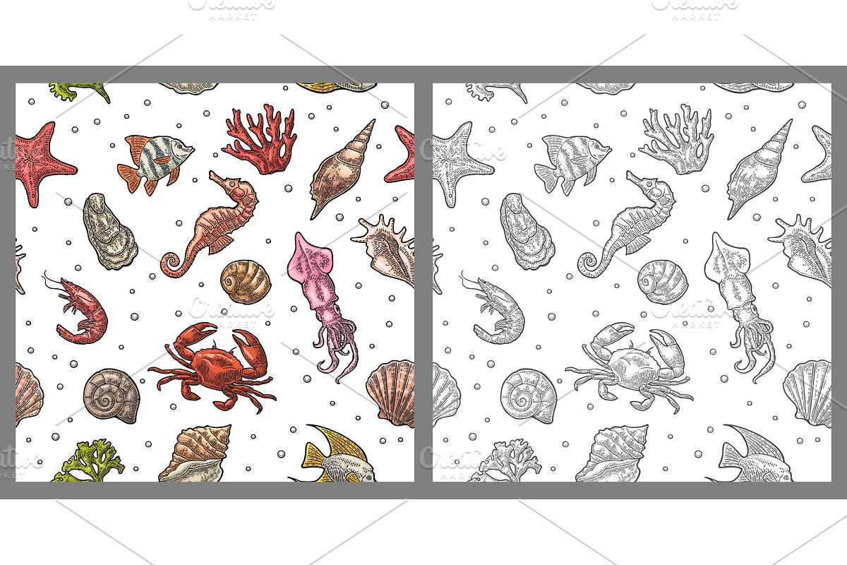 Seamless pattern sea shell, coral, cuttlefish, coral, oyster, crab, shrimp, seaweed, star, fish. in Illustrations - product preview 8